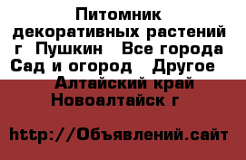 Питомник декоративных растений г. Пушкин - Все города Сад и огород » Другое   . Алтайский край,Новоалтайск г.